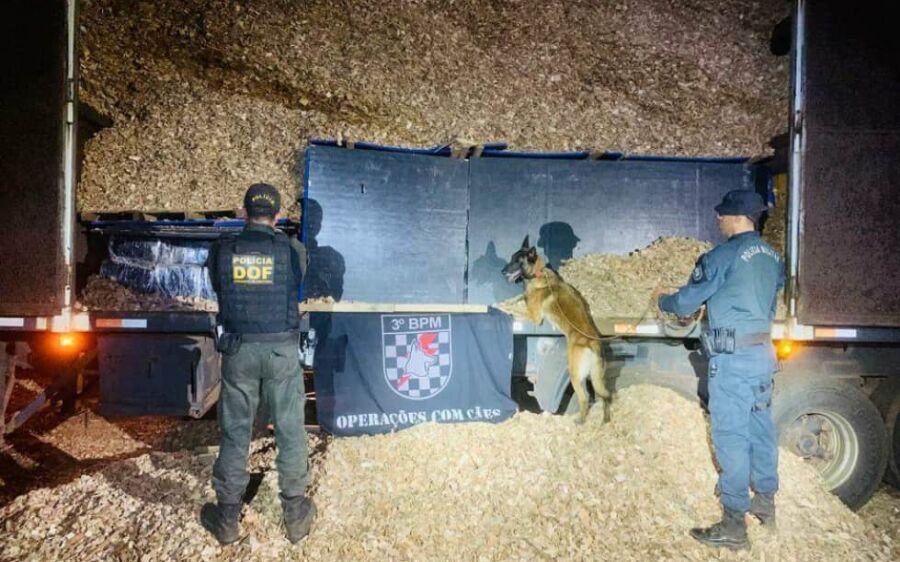 DOF apreende 5,2 toneladas de maconha em uma carga de cavaco de madeira na MS-156