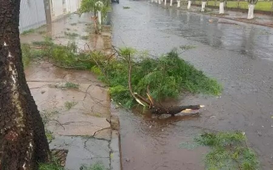 Chapadão do Sul registra chuva com ventos de 79,6 km/h e granizo