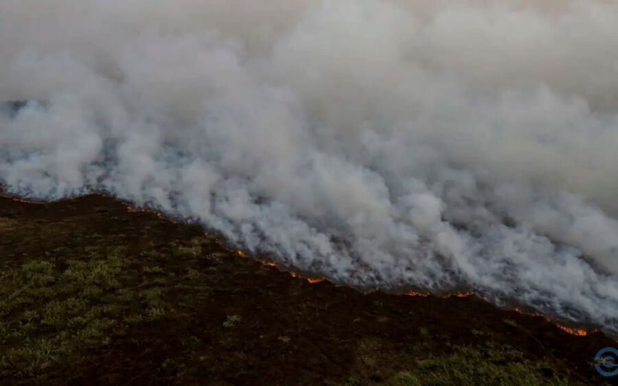 Brigadistas intensificam trabalho de combate a incêndios no Pantanal