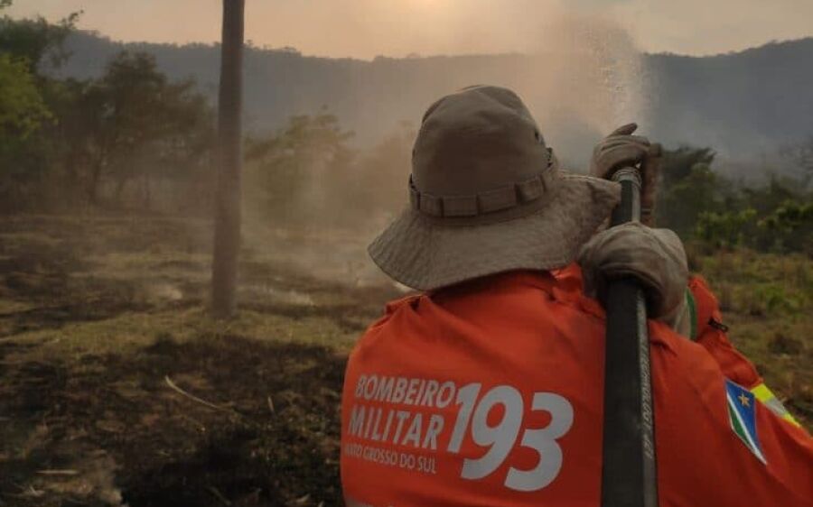 Incêndios são controlados no Pantanal e equipes continuam trabalho na região