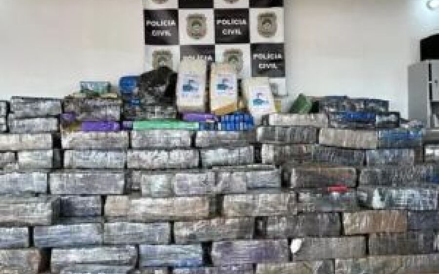 Polícia Civil apreende 7,5 toneladas de maconha em milharal, uma das maiores apreensões registradas 