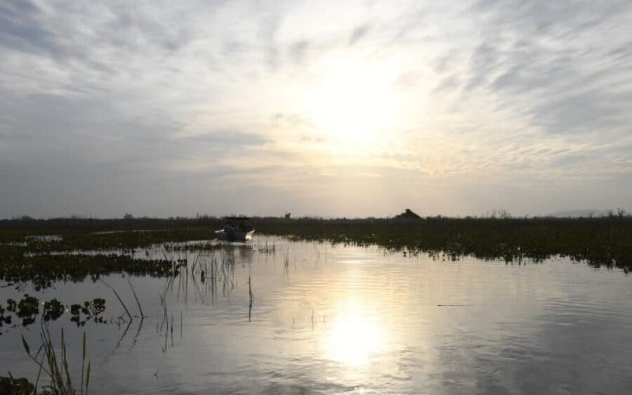 Lei do Pantanal tem reconhecimento de entidades e ONGs
