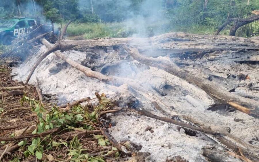 Policia Militar Ambiental autua infrator por queima irregular de leiras em Camapuã