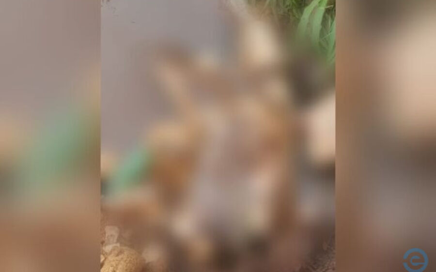 Funcionários de fazenda encontram corpo boiando no rio Botas em Jaraguari
