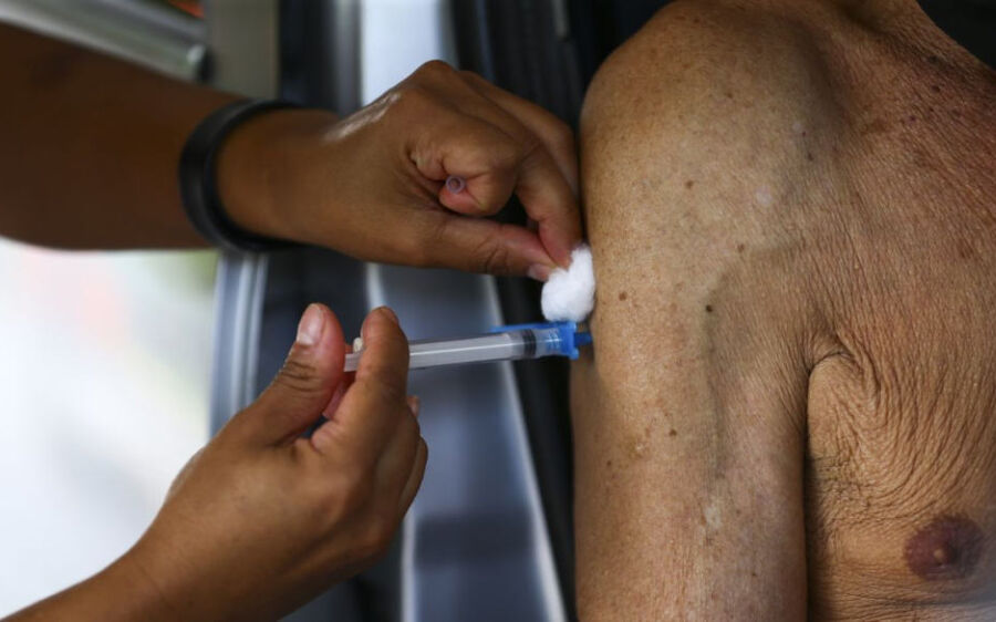 Registro de vacina contra bronquite é aprovado pela Anvisa