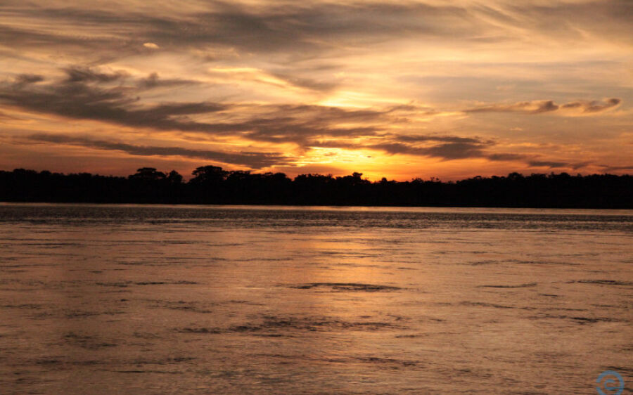 Novembro bate recorde de calor para o mês, e 2023 será ano mais quente da história