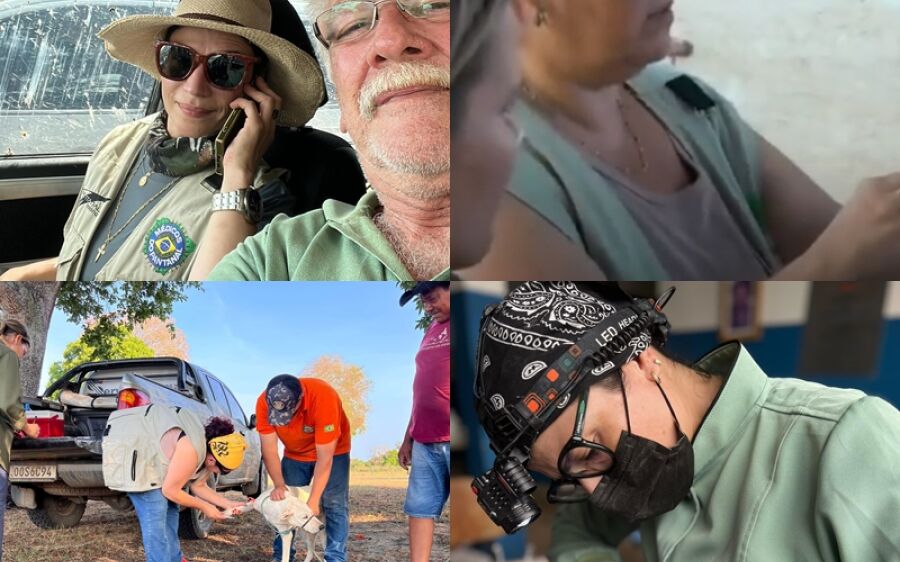 Rio-Verdenses dão destaque em repostagem do globo rural, levando atendimento à população do pantanal