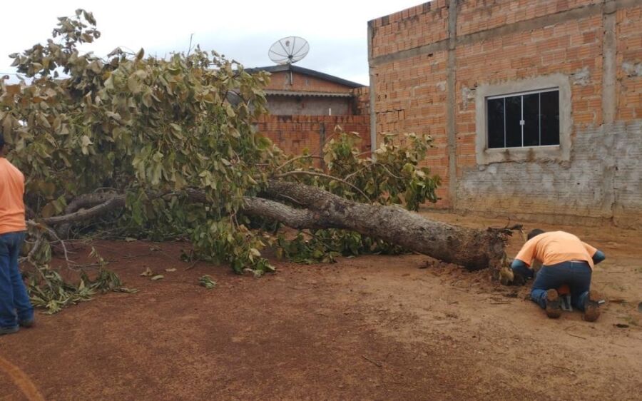Prefeitura de Coxim atua na retirada de árvores e galhos após ventos fortes