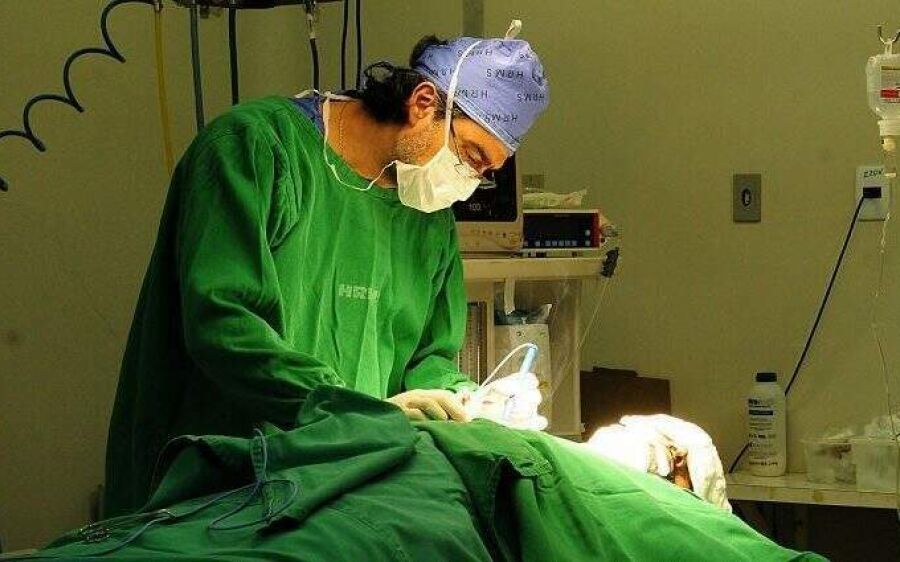 Com destaque para cirurgias renais, MS registra 203 transplantes em 2023