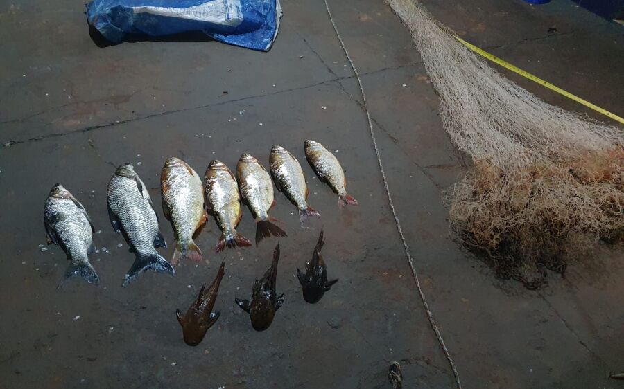 PMA de São Gabriel do Oeste prende quatro homens por pesca ilegal no rio Coxim