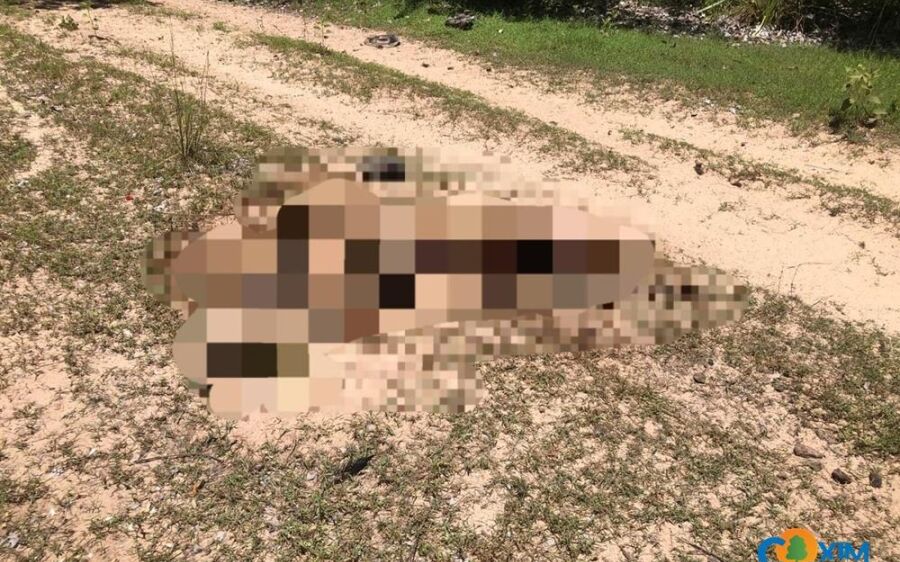 Corpo de peão de comitiva é encontrado em avançado estágio de decomposição no Pantanal