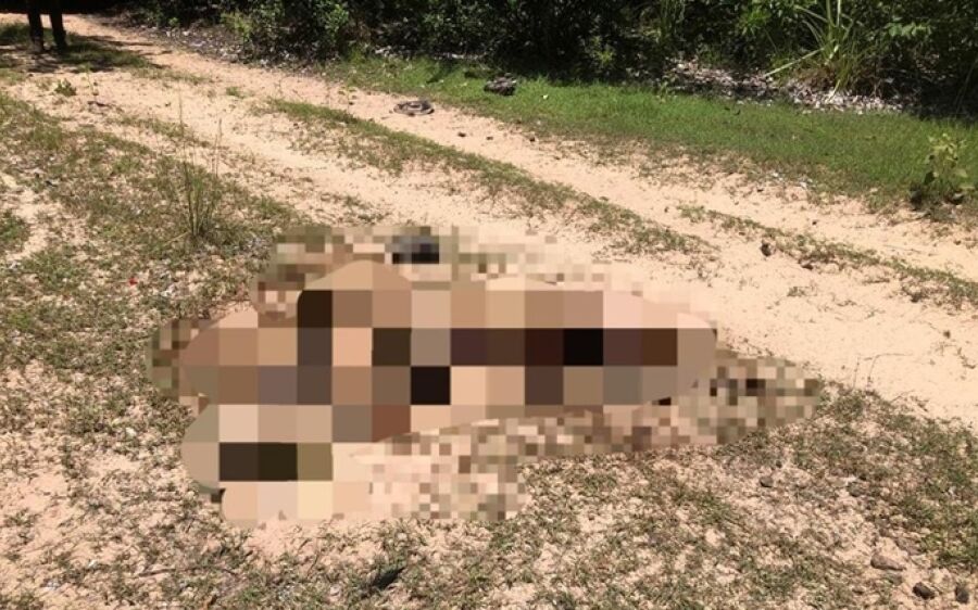 Integrante de comitiva de Camapuã é encontrado morto no Pantanal
