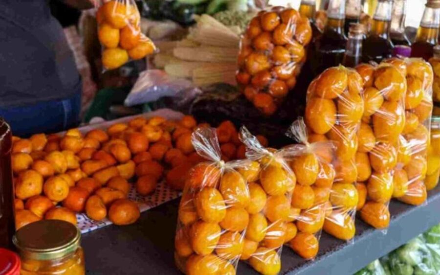 Escassez de pequi em MS faz produtores importarem iguaria e valor assusta cliente