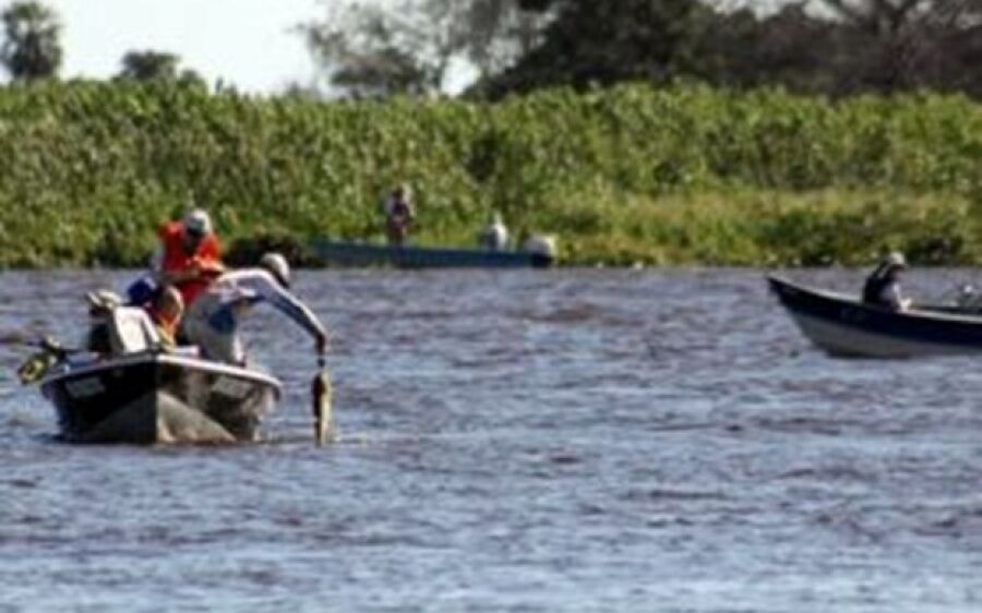 Pesque e solte é liberado para pescadores nos rios Paraguai e Paraná