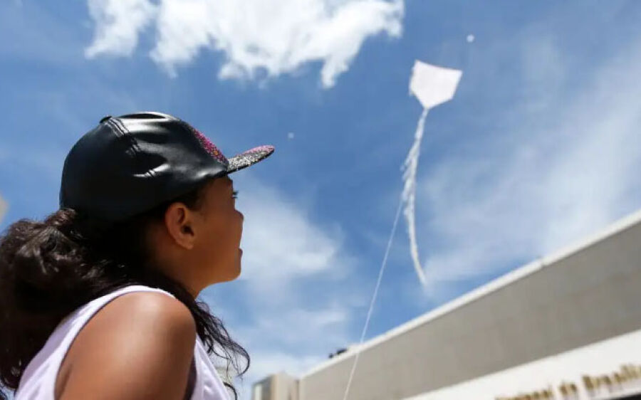 Projeto proíbe fabricação, comercialização e uso de linhas com cerol