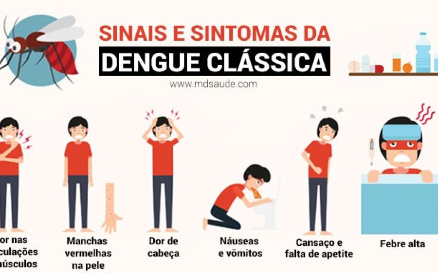 Dengue: atenção aos sintomas é  essencial e evita agravamento da doença