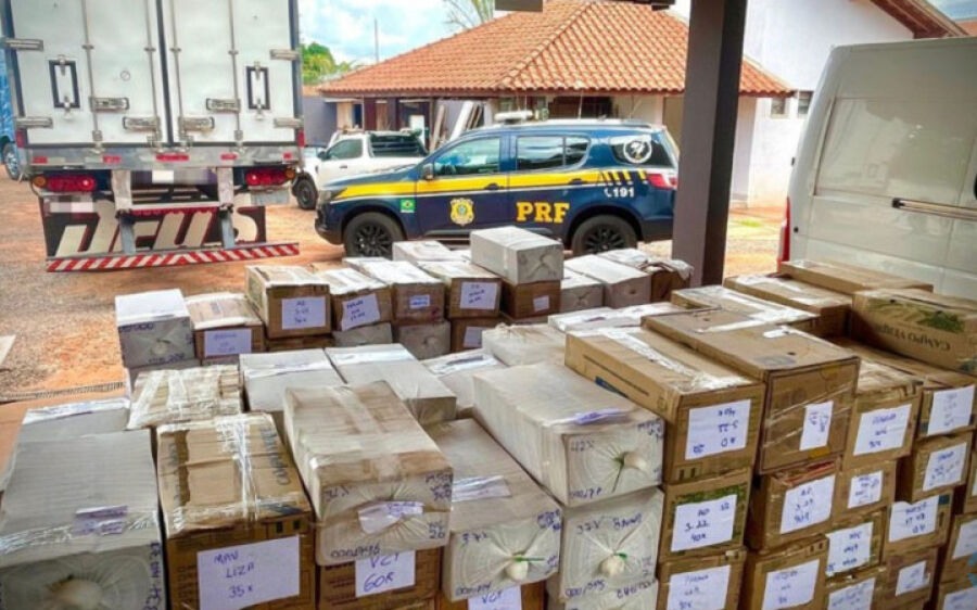 Motorista é preso pela PRF com mais de 7 mil celulares em câmara fria