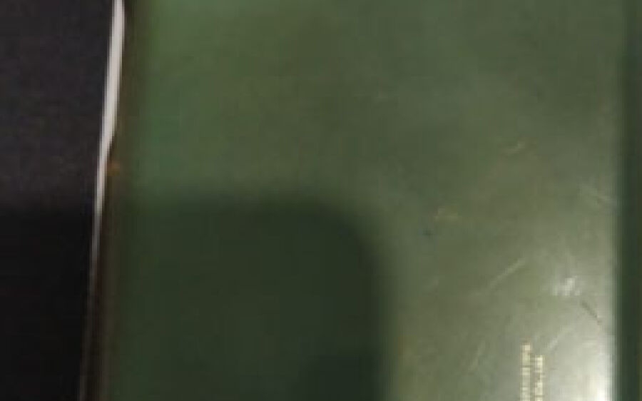 Polícia Militar prende mulher por furto de  celular em Sonora