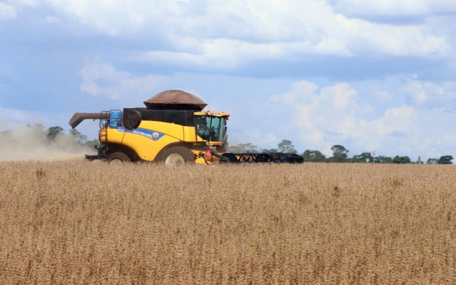 MS teve o maior crescimento do PIB do  agronegócio entre os estados brasileiros