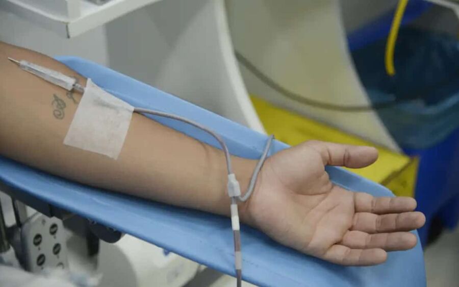 Diagnóstico de dengue e  imunização exigem cautelas  na doação de sangue