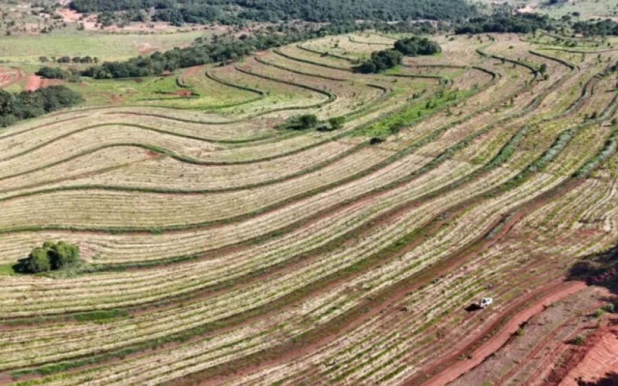 Projeto prevê a recuperação de 6 mil hectares de pastagens próximas ao Rio Taquari