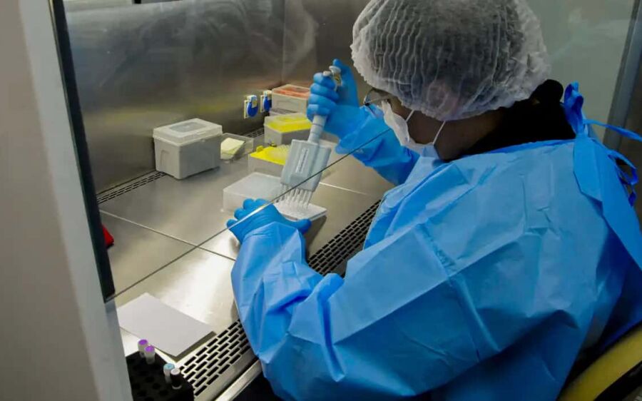 Novo teste de HPV no SUS pode antecipar diagnóstico em até dez anos