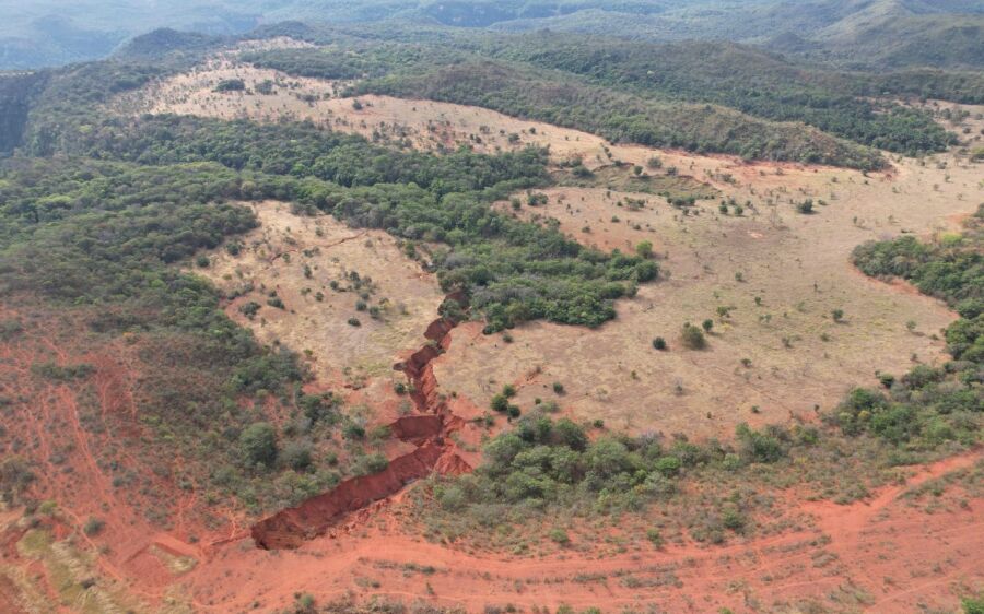 Com plantio de 270 mil mudas no parque do Rio Taquari, MS realiza projeto de restauração país
