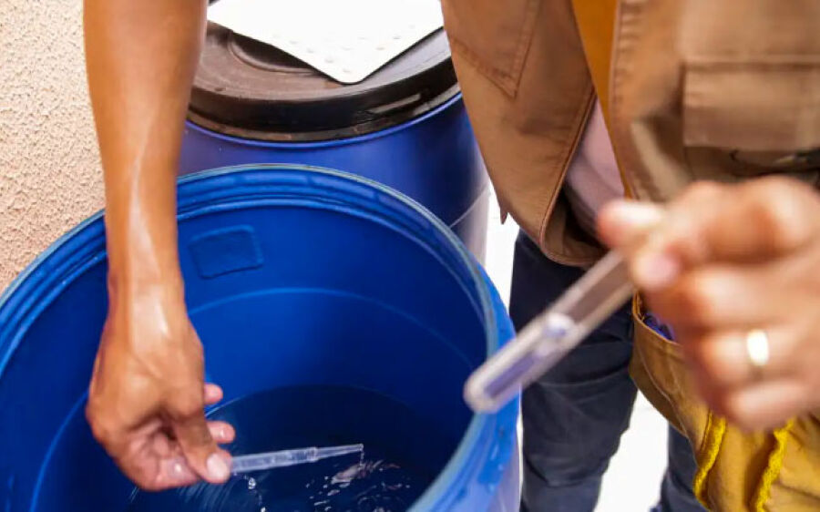 Saúde passa a recomendar testes rápidos para diagnóstico de dengue