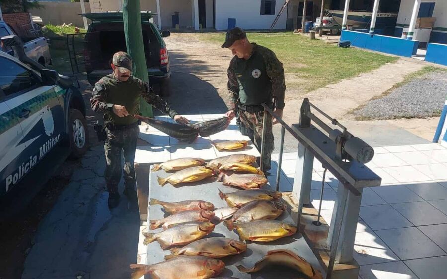 PMA intensifica fiscalização contra pesca predatória na Operação Semana Santa