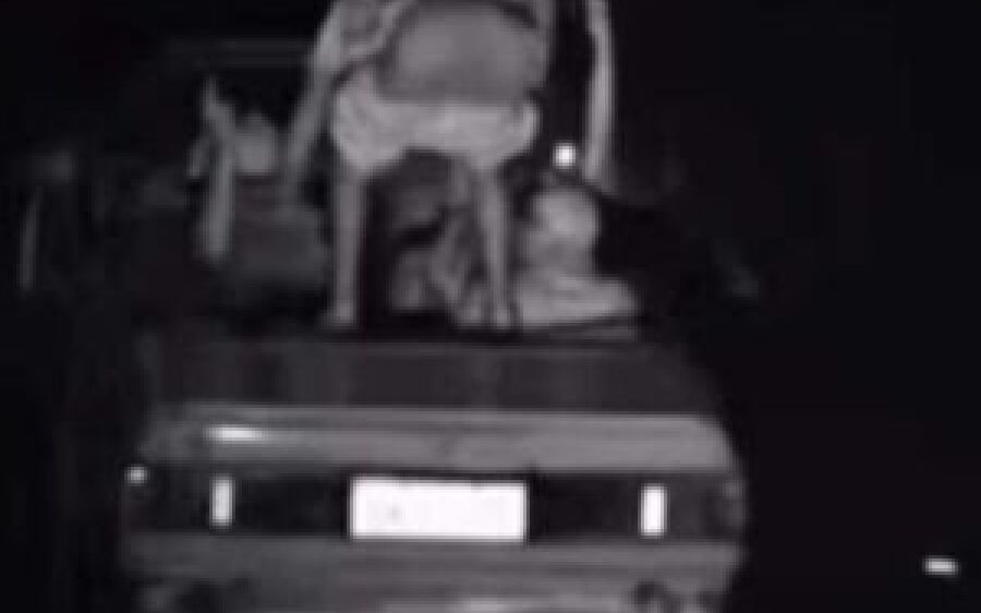 Passageiro mostra a bunda para a câmera após carro passar em alta velocidade por radar