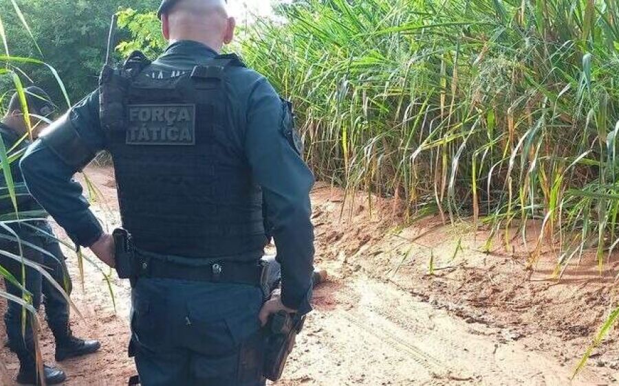 Torturado, homem tem crânio quebrado e é encontrado morto em estrada