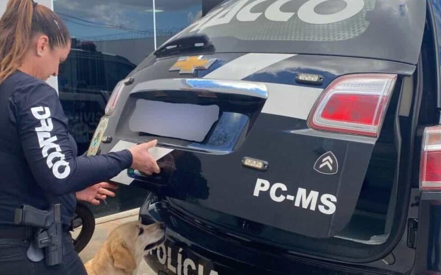 Homem condenado por matar duas pessoas queimadas em São Paulo é preso em MS