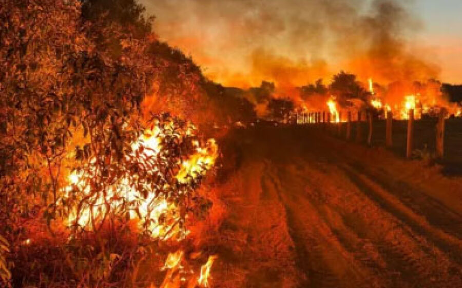 Mudanças climáticas: MS decreta emergência ambiental na tentativa de precaver temporada de queimadas