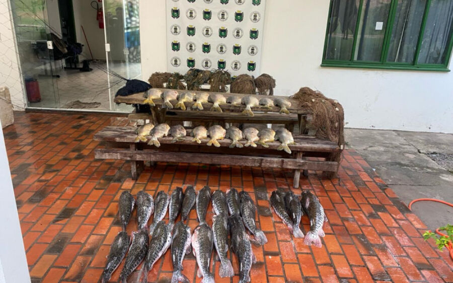 PMA apreende 180 quilos de pescado irregular e 600 metros de rede