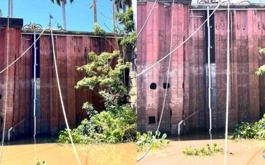 Nível do Rio Paraguai mais baixo que em 1964 alerta para seca histórica no Pantanal de MS