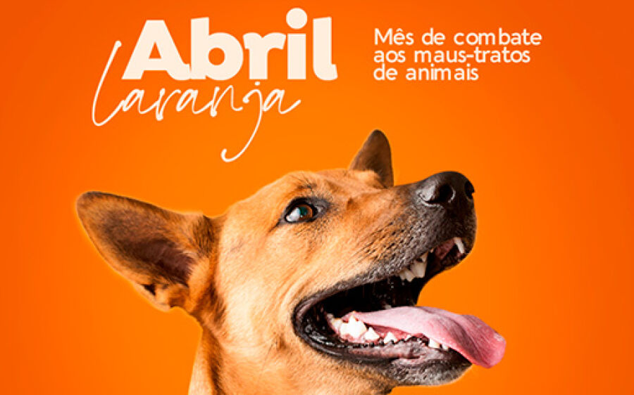 Abril é dedicado à conscientização e  prevenção da crueldade contra animais