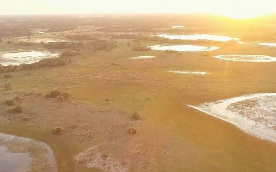 Imasul convoca proprietários de imóveis no Pantanal com processos em andamento para adequação à lei