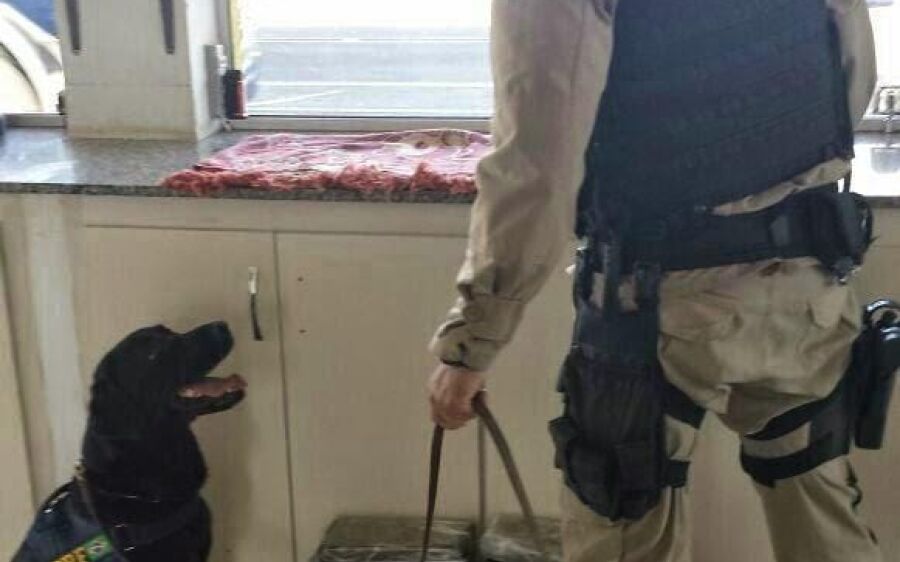 PRF de Mato Grosso do Sul se despede da K9 Meg