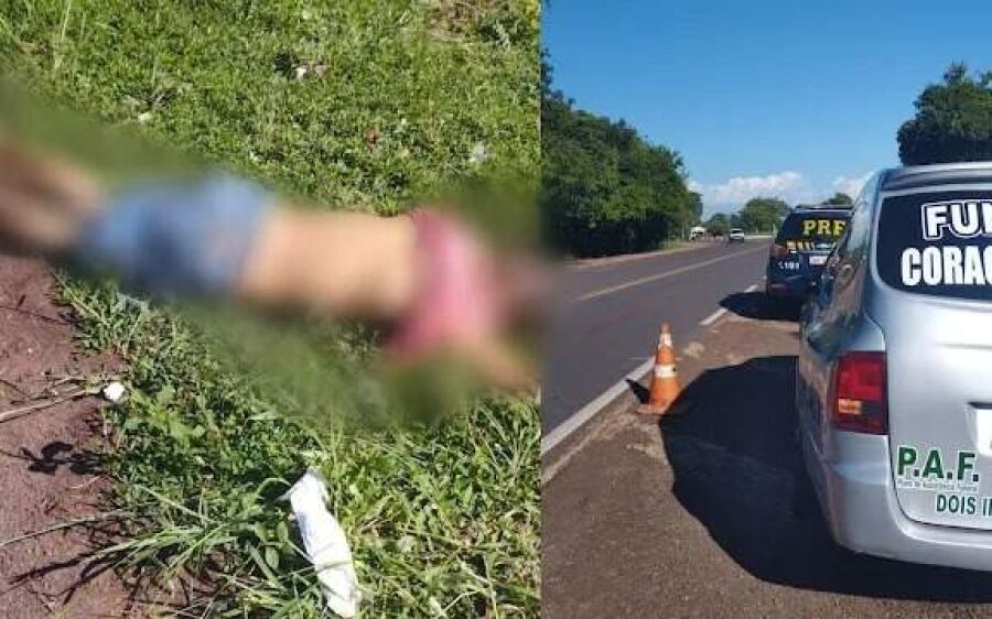 Homem com diversos ferimentos é encontrado morto às margens de rodovia