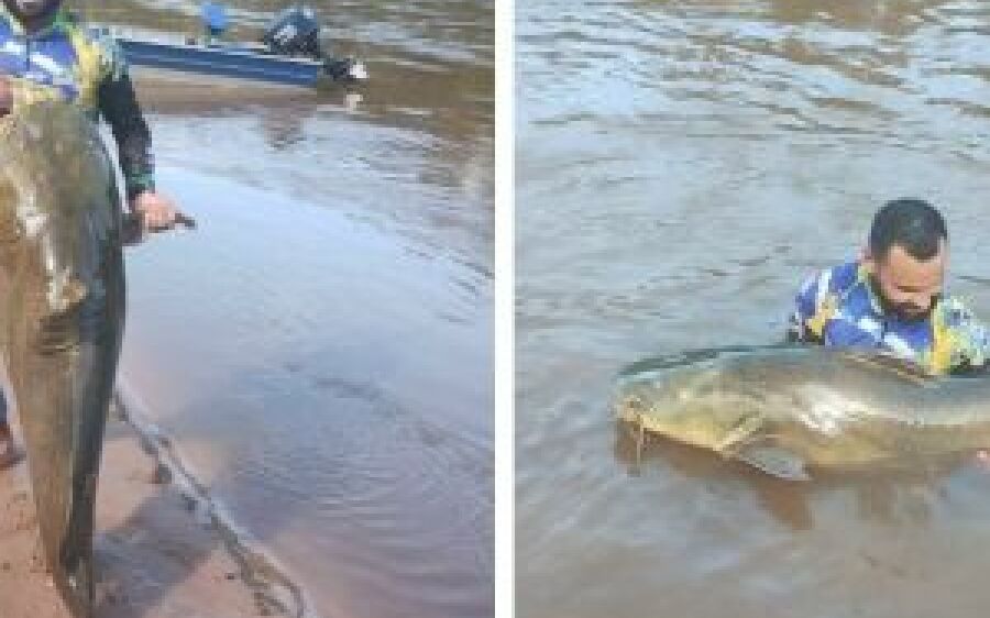 Empresário de Costa Rica fisga jaú de 90 kg no rio Taquari