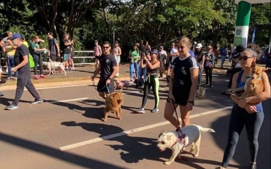 Abril Laranja: Ações de conscientização contra maus-tratos a animais chegam a Bodoquena e Corumbá
