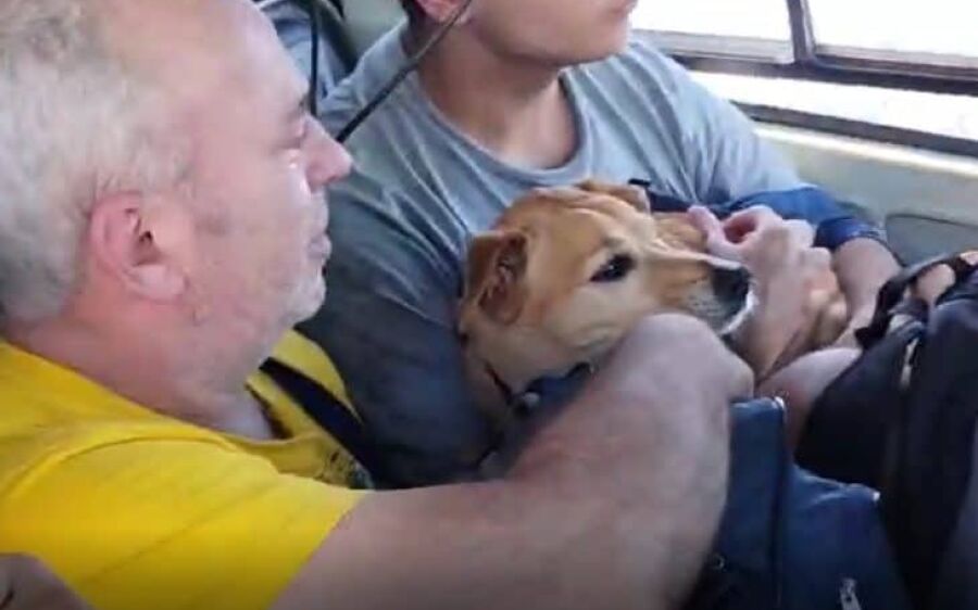Crianças, idosos e até cão caramelo são resgatados em helicóptero de MS