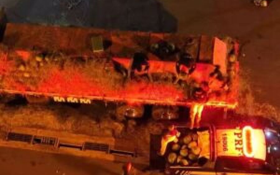 Seis foram presos em operação que apreendeu carga fake de melancia com 16 toneladas de drogas em MS