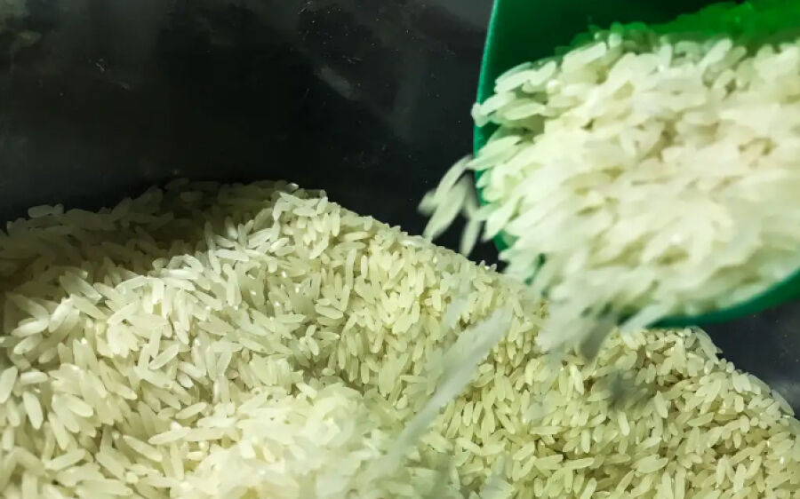 Brasil vai importar arroz para evitar especulação de preços