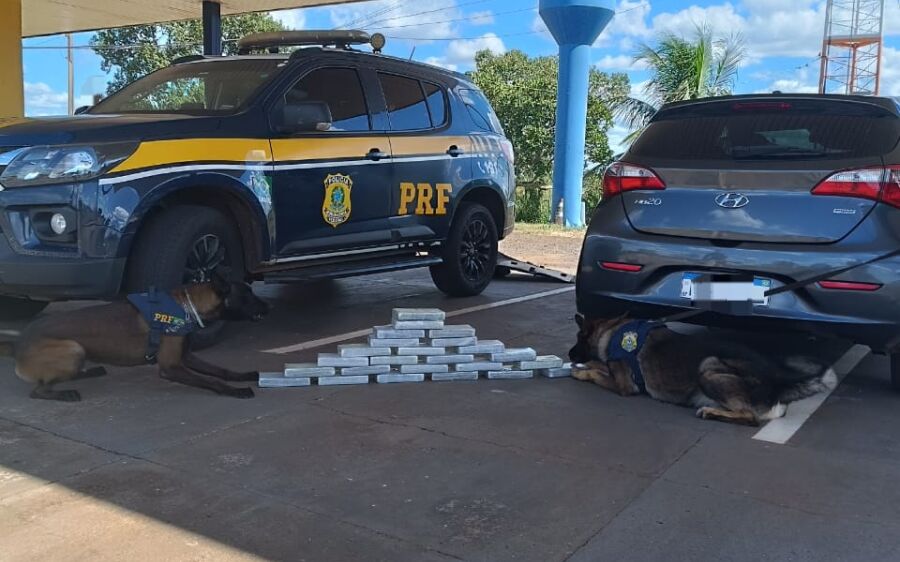 Com auxílio de cães farejadores PRF apreende 25,5kg de cocaína em Campo Grande