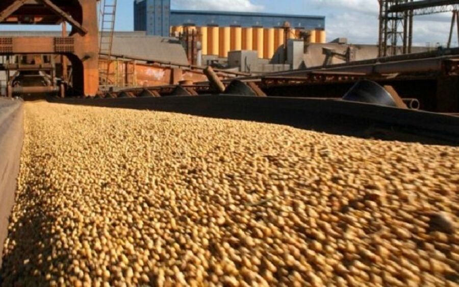 Exportações de MS chegam a 3,1 bilhões de dólares no acumulado do 1º quadrimestre de 2024