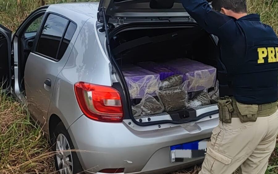 PRF recupera veículo e apreende 247 quilos de maconha e skunk na BR-376