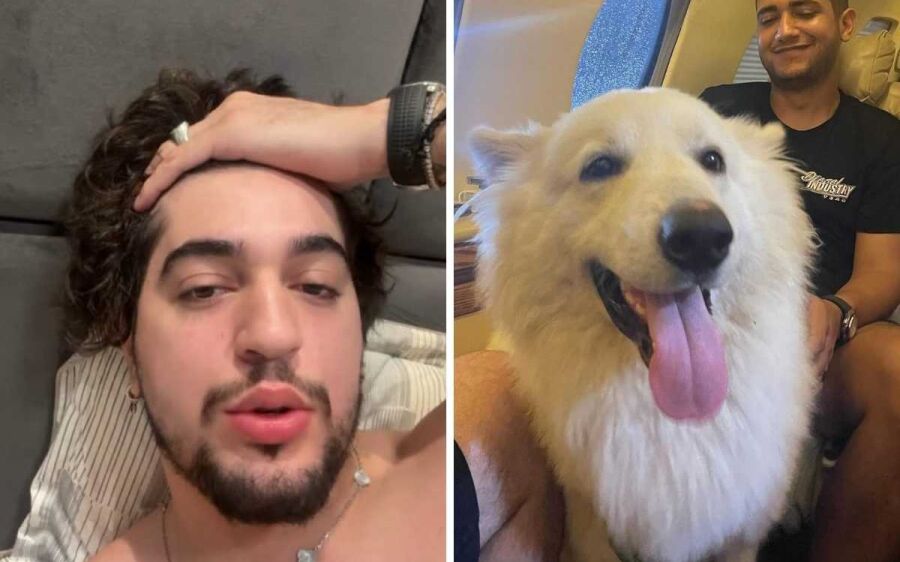 Cães de Nattan são levados por sertanejos: Que loucura é essa?