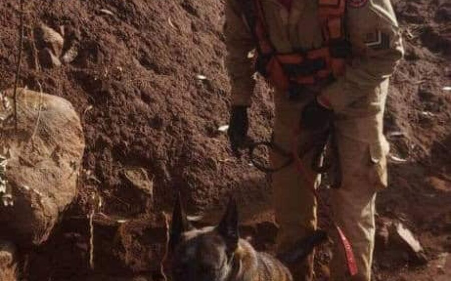Equipe de busca e resgate de MS com cães encontra vítimas soterradas no RS