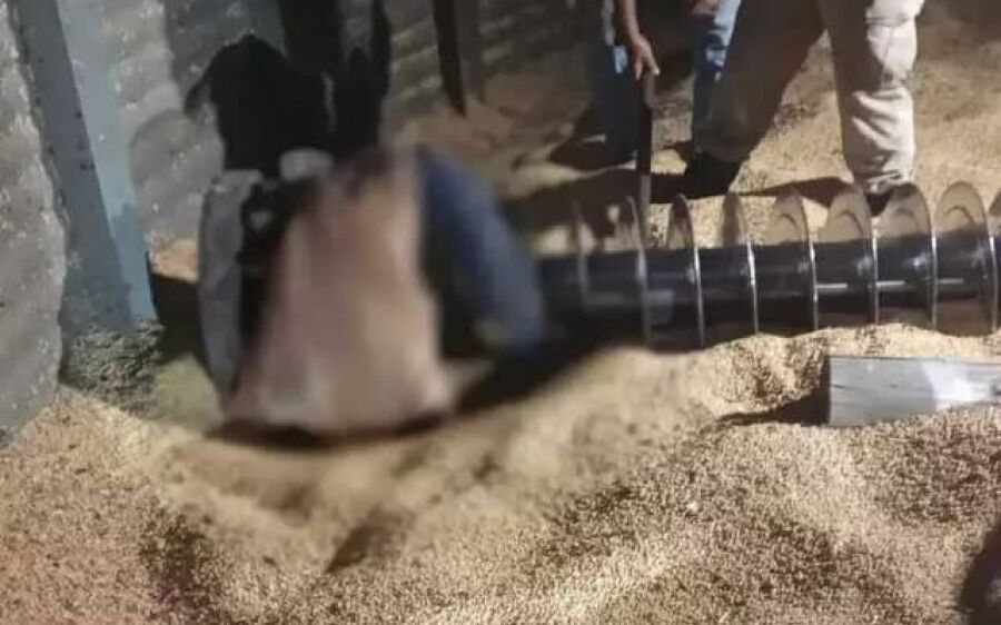 Funcionário terceirizado de fazenda morre ao cair de silo em manutenção